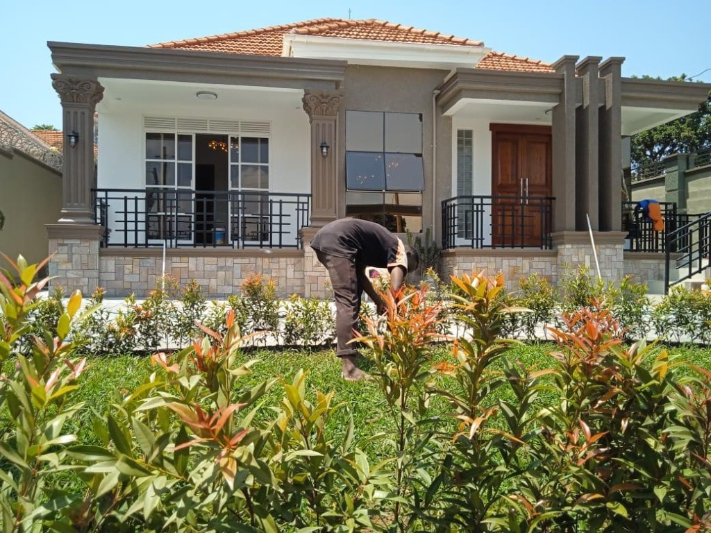 Contemporary bungalow